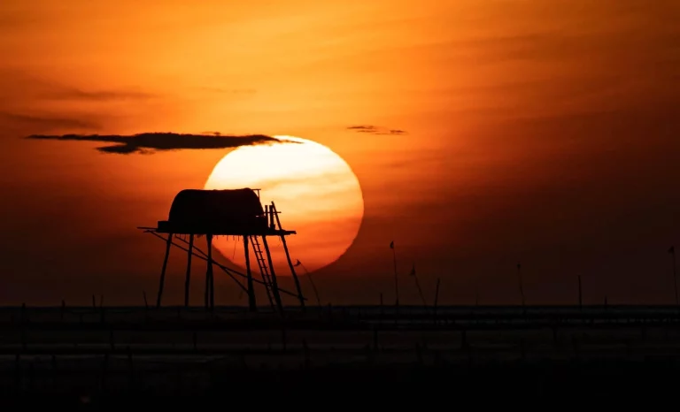 How to Capture a Large Sun in Your Photos