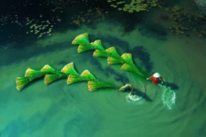 Southern Horizons Vietnam Through Your Lens