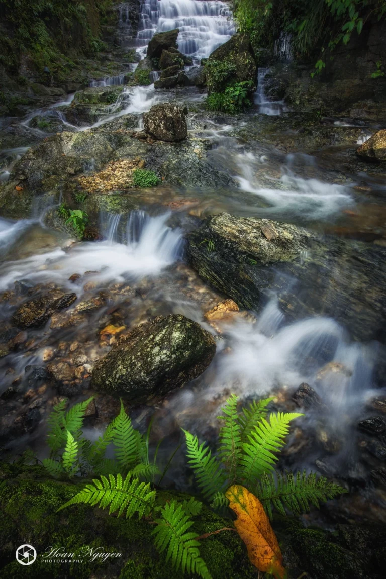 Stack Focus and Its Application in Landscape Photography
