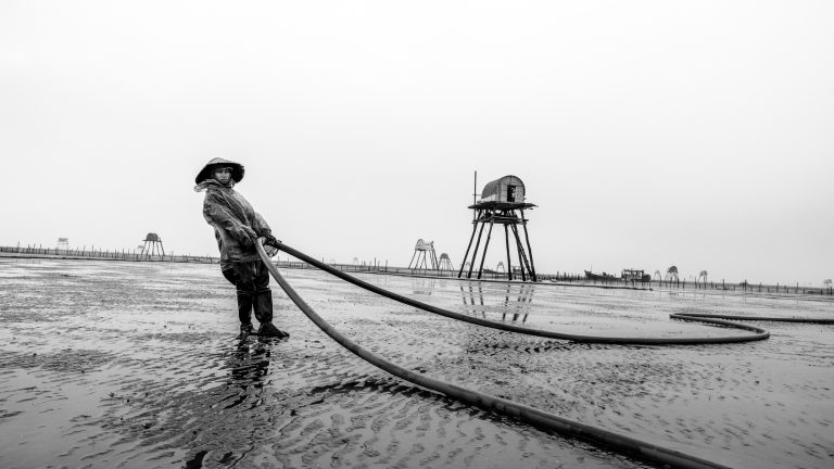 Self-Guided Photography or Photo Tour? The Difference That Creates “Perfect Moment” Photos