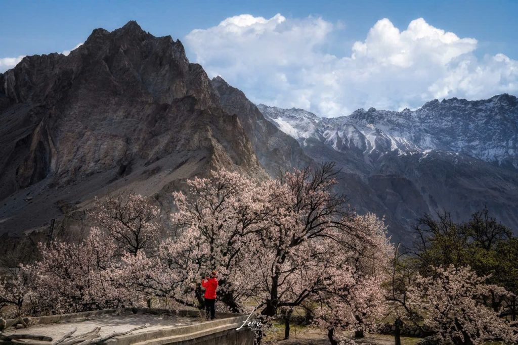 Hình ảnh này chưa có thuộc tính alt; tên tệp của nó là image-10-1024x683.jpeg