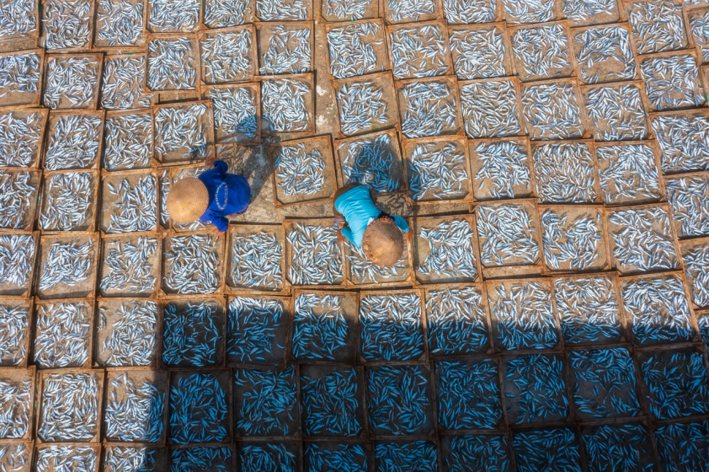 Hình ảnh này chưa có thuộc tính alt; tên tệp của nó là image-2-1024x682.png