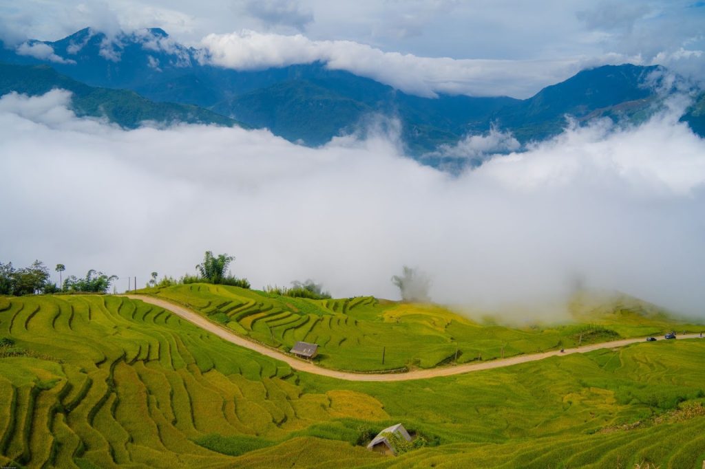 Hình ảnh này chưa có thuộc tính alt; tên tệp của nó là image-4-1024x682.jpeg