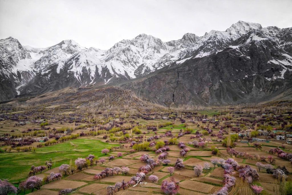 Hình ảnh này chưa có thuộc tính alt; tên tệp của nó là image-5-1024x683.jpeg