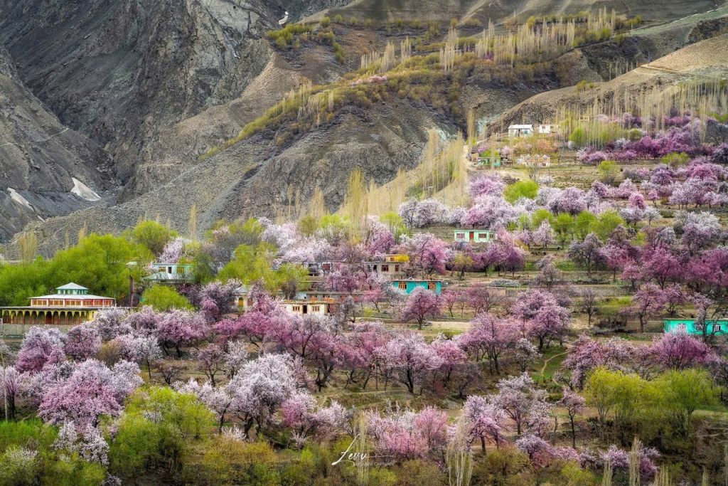 Hình ảnh này chưa có thuộc tính alt; tên tệp của nó là image-6-1024x683.jpeg