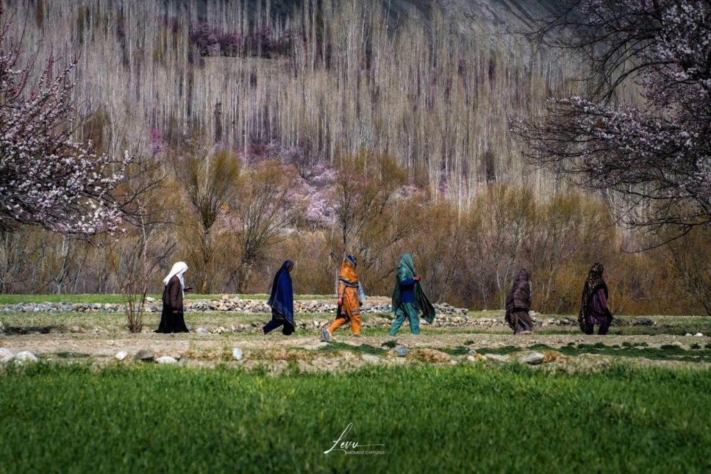 Hình ảnh này chưa có thuộc tính alt; tên tệp của nó là image-9-1024x683.jpeg